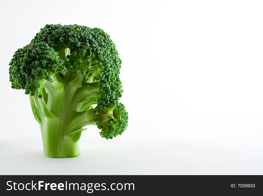 Close-up of a stalk of broccoli. Close-up of a stalk of broccoli