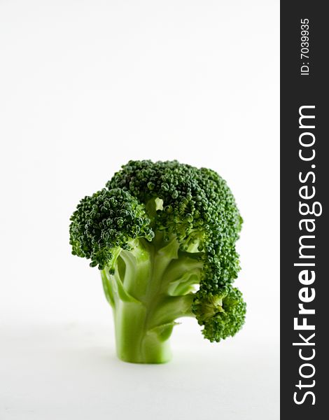 Close-up of a stalk of broccoli. Close-up of a stalk of broccoli