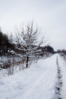 Landscape - Snowy Winter Road Stock Photography Landscape - Snowy Winter Road Stock Photography