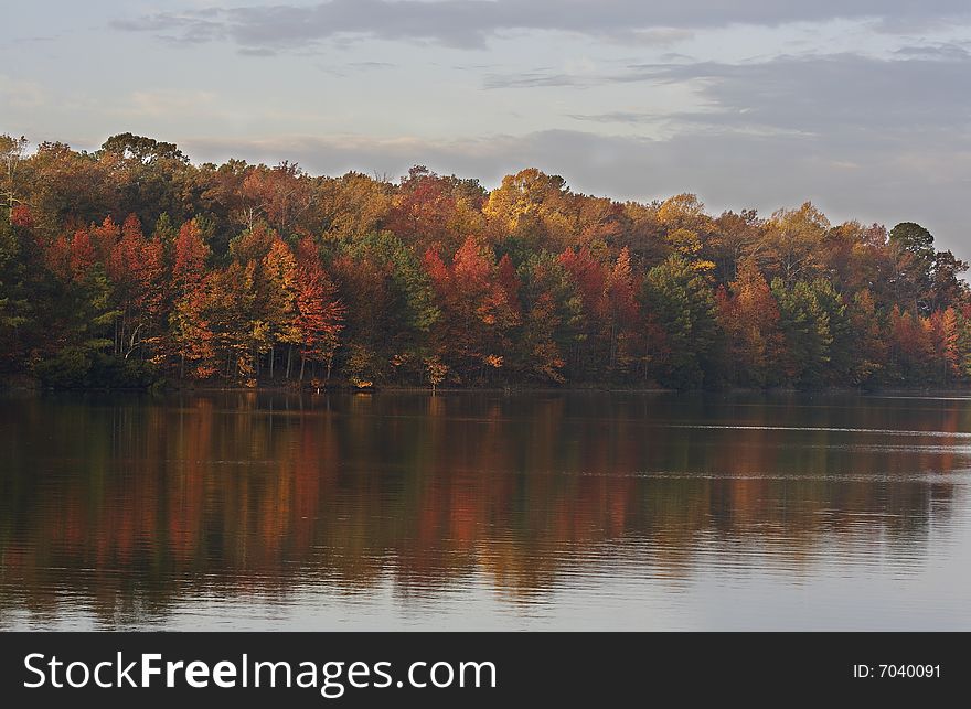 A picture of fall trees and water. A picture of fall trees and water