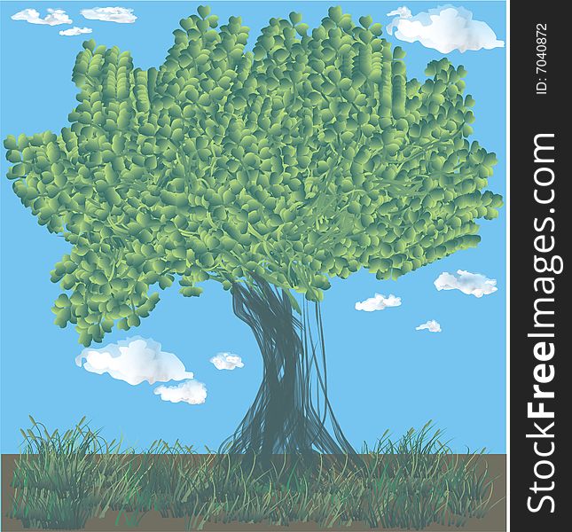 Vector illustration of a forest tree with blue sky as background