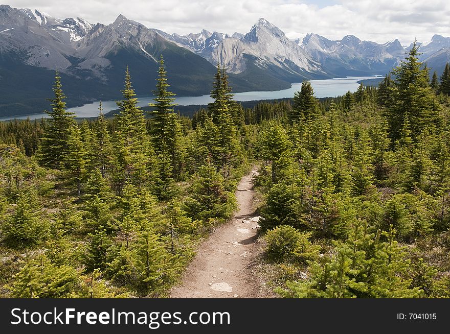 Trail to Maligne Lake