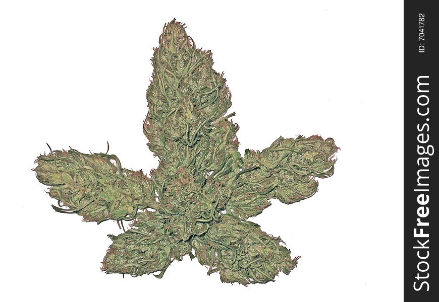 Marijuana buds on white background