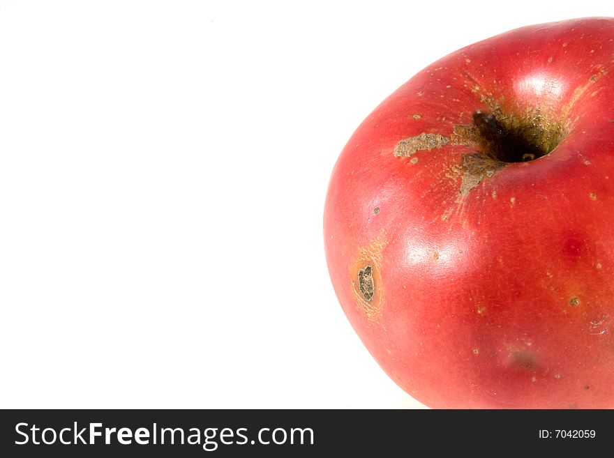 Wormy rotten apple isolated on white background