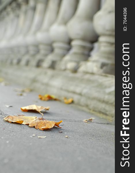 Autumn leaves with a background of ornate masonry