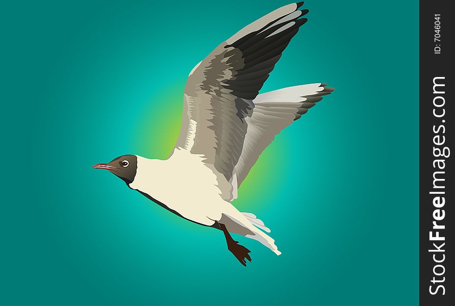 Illustration with gull and blue sky. Illustration with gull and blue sky