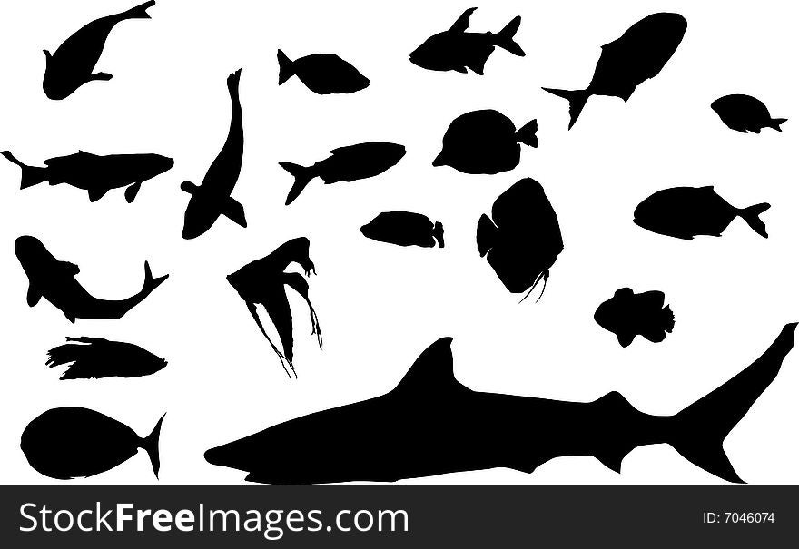 Fish collection isolated on white background. Fish collection isolated on white background