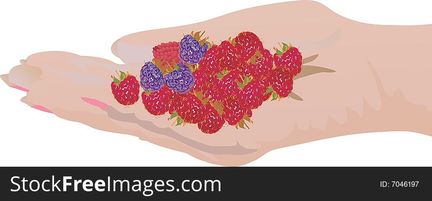 An illustration with hand and strawberries