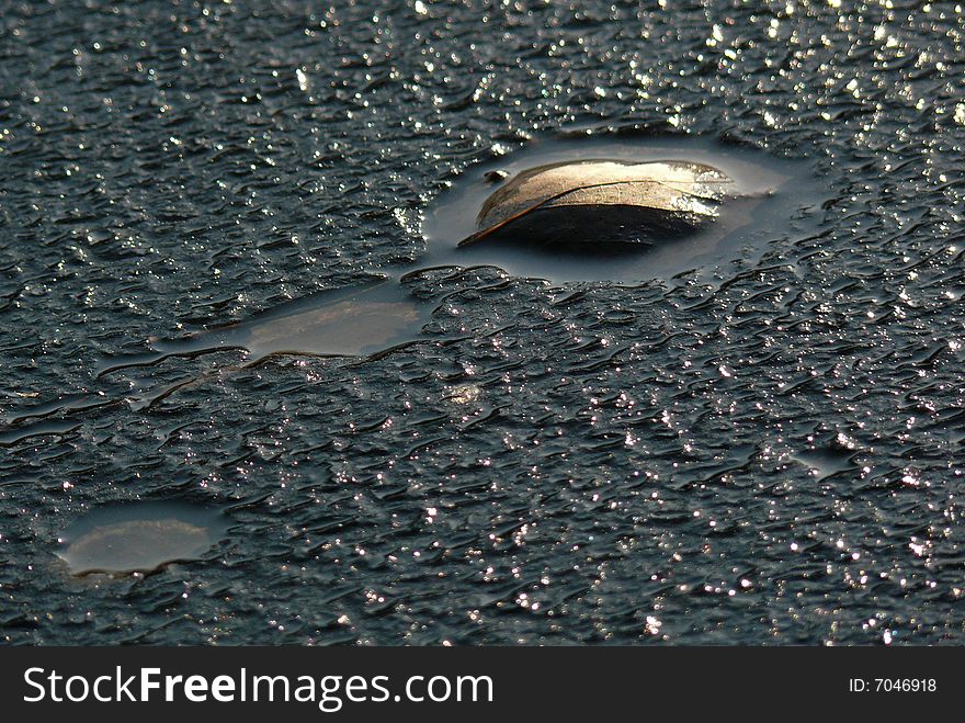 Leaf stay in ice during melt. Leaf stay in ice during melt.