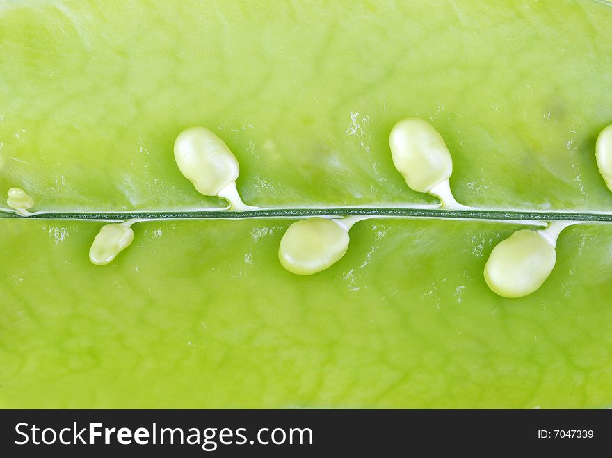 Cute peas in a green pod