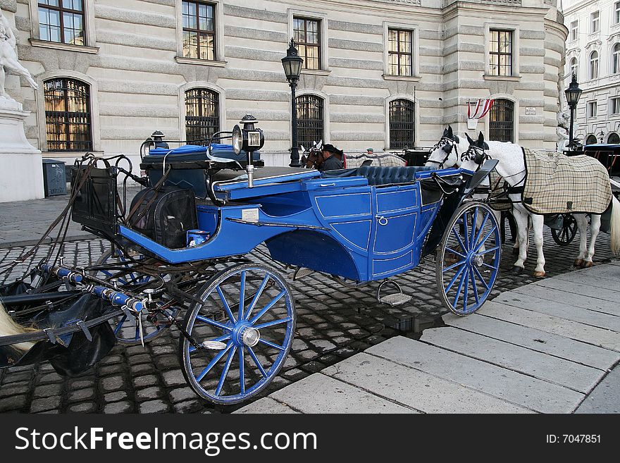 The dark blue carriage and white horses in the city of Munich