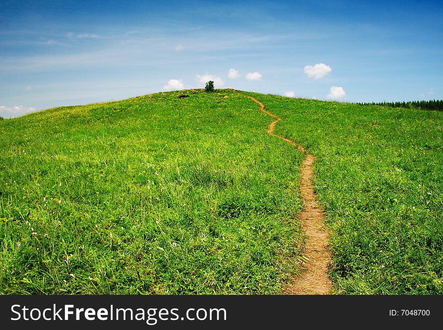 Path through grassland with blue sky