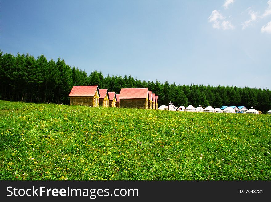 House In Grassland