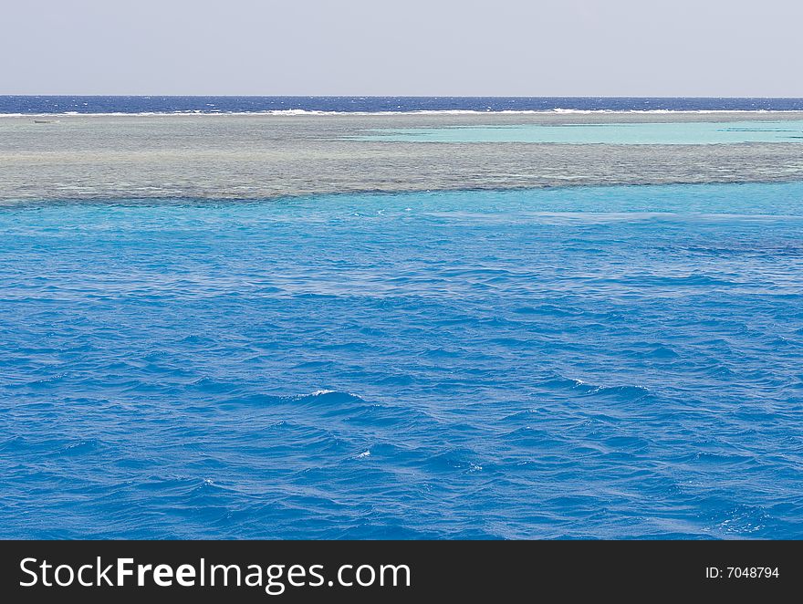 Patch of coral reef in the cristal waters of the Red Sea. Patch of coral reef in the cristal waters of the Red Sea