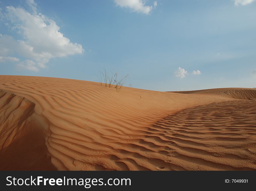 A Day Shot of Desert in UAE. A Day Shot of Desert in UAE