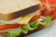 A Delicious And Healthy Sandwich Stock Photography