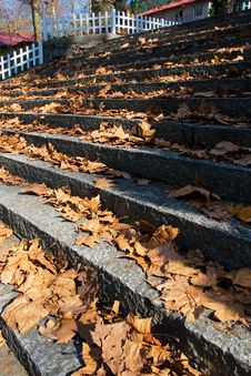 Autumn Step Stock Images Autumn Step Stock Images