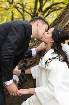 Just Married Couple Stock Images Just Married Couple Stock Images