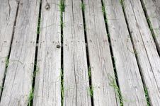 Wooden Walkway Royalty Free Stock Photography Wooden Walkway Royalty Free Stock Photography