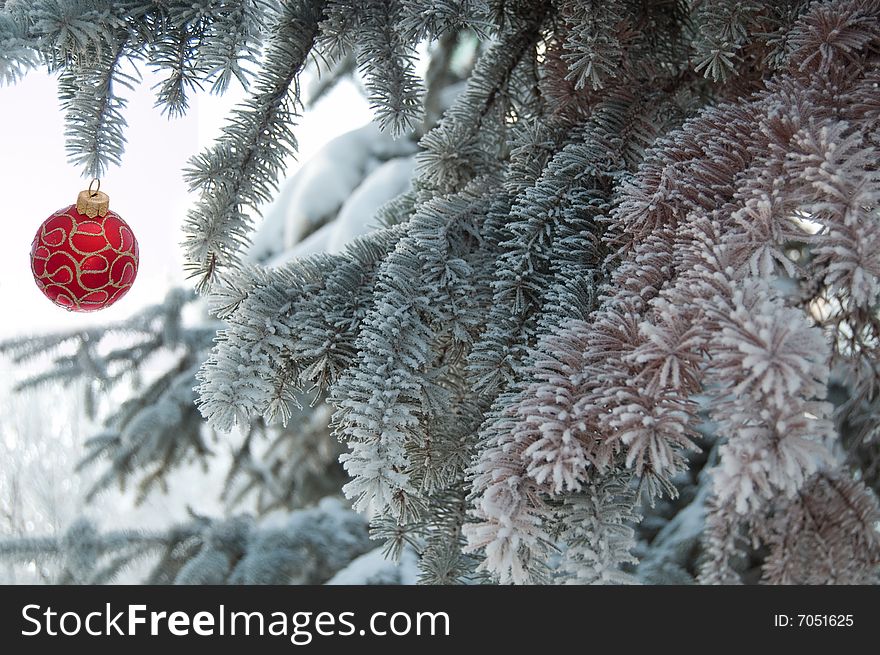 Fir branch with red Christmas ball. Fir branch with red Christmas ball