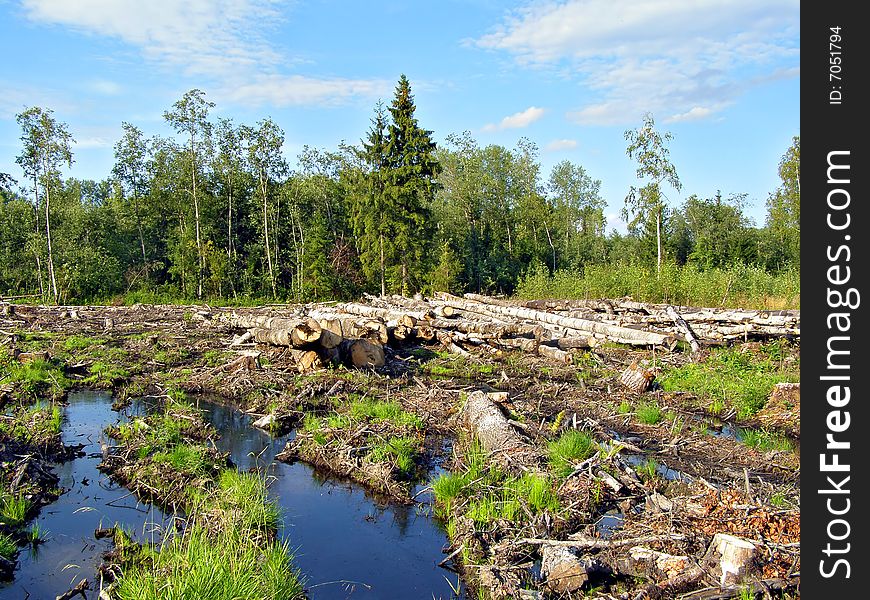 Aging bad road on chopping wood