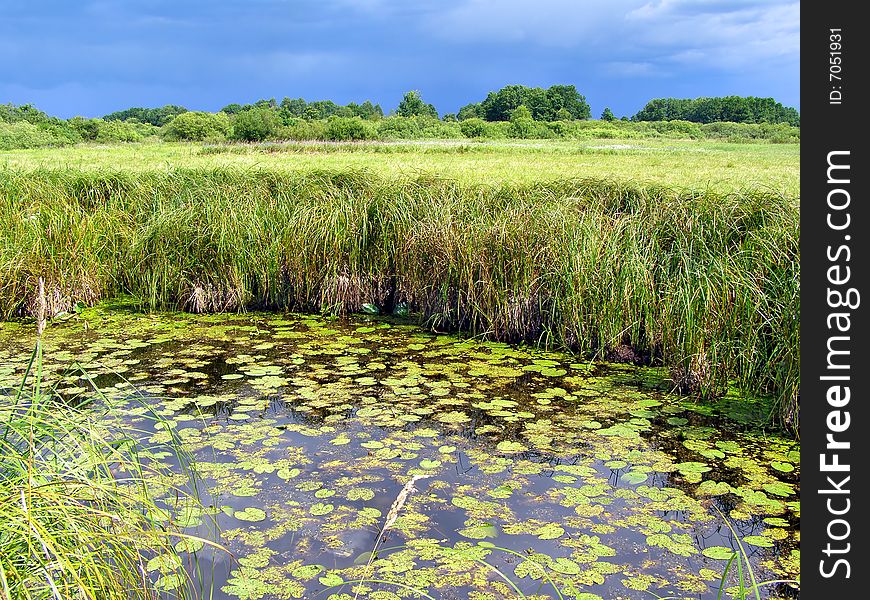 Small lake on green field