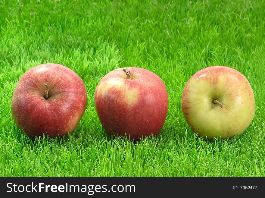 Fresh red apples on green grass. Shot in Studio. Fresh red apples on green grass. Shot in Studio