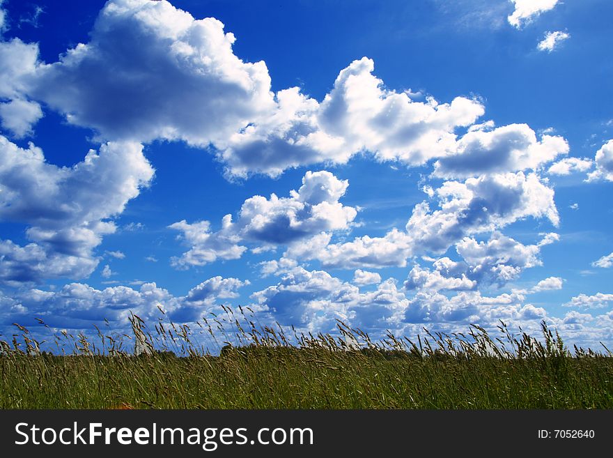 Grass and blue sky creative abstract background. Grass and blue sky creative abstract background