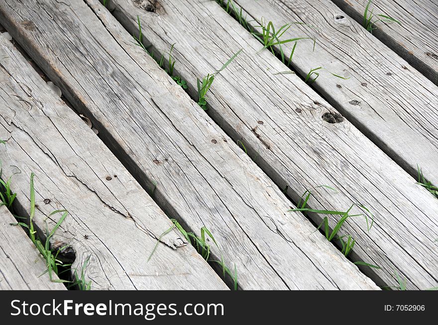 Closeup photo of an old wooden walkway with grass