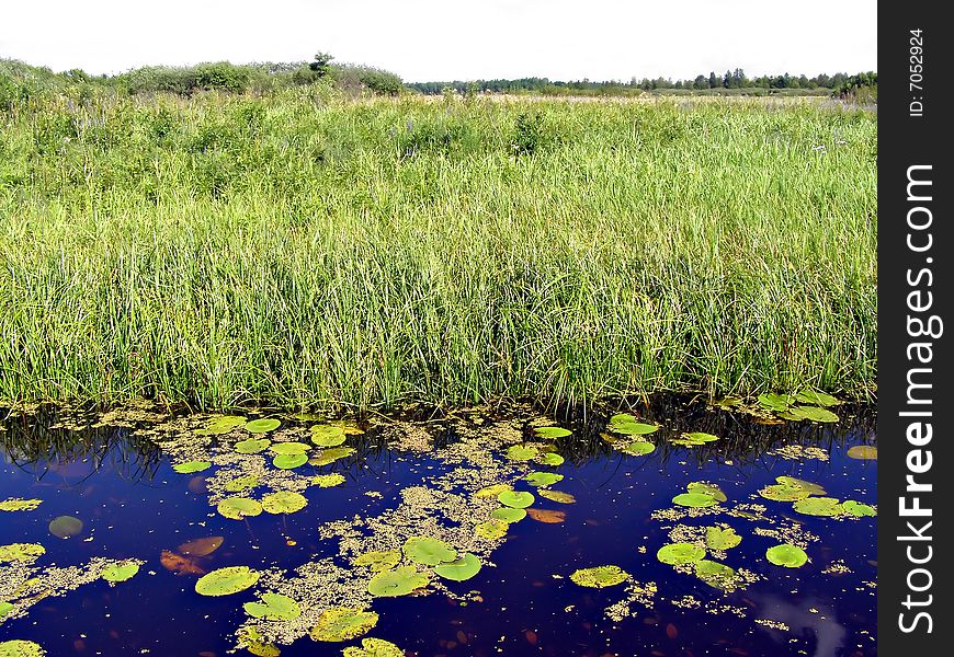 Small lake on green field