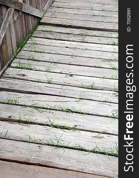 Closeup photo of an old wooden walkway with grass