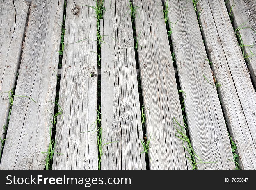 Closeup photo of an old wooden walkway with grass