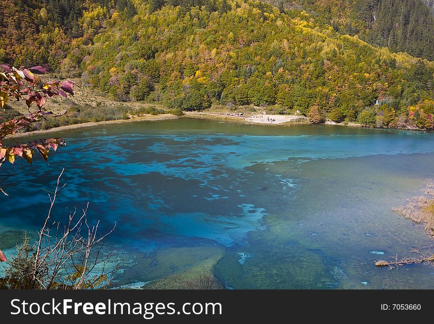 A colorful lake in jiuzhaigou in the west of china