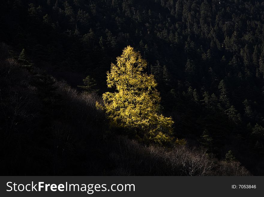 Scenery in huanglong in the west of china. Scenery in huanglong in the west of china