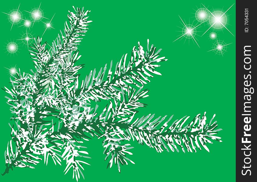 Needles Fir with star light on green background. Needles Fir with star light on green background.