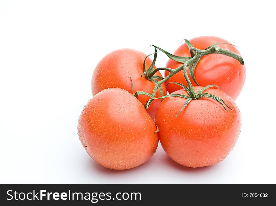 Home grown tomatoes  on a white background.