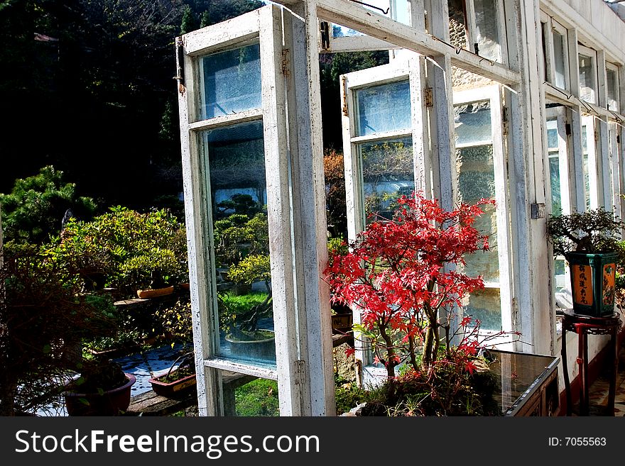 The window of a frame house. The window of a frame house.