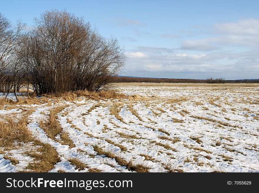 First white snow has fallen out on autumn field