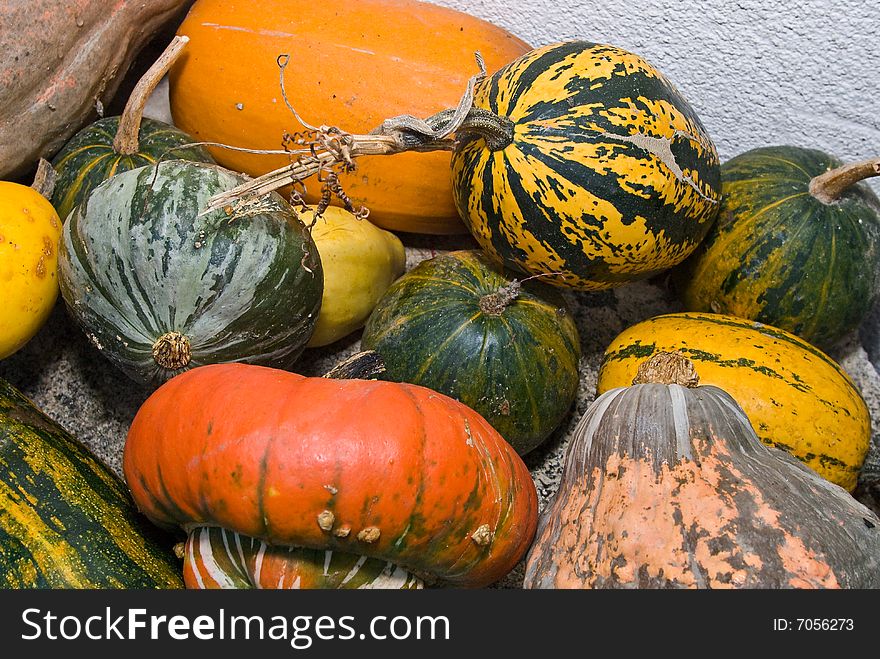 A set of some colorful pumpkins. A set of some colorful pumpkins