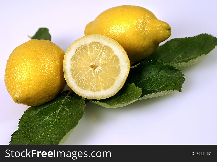 Fresh citrus fruits on white ground