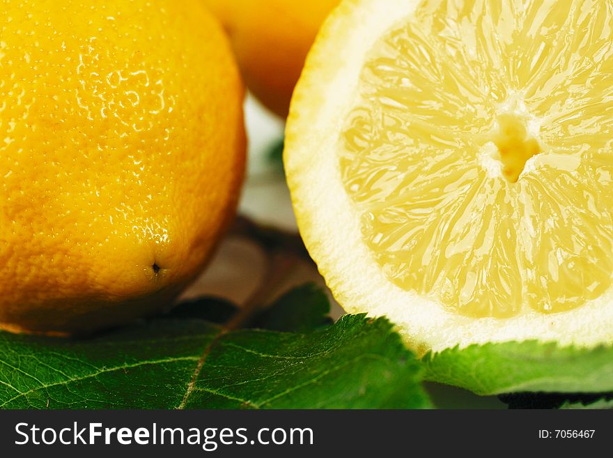 Fresh citrus fruits on white ground