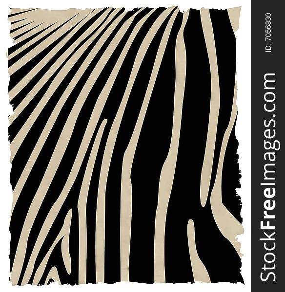 Zebra Skin