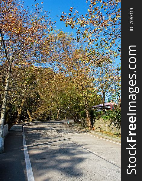 The autumn road with blue sky background.