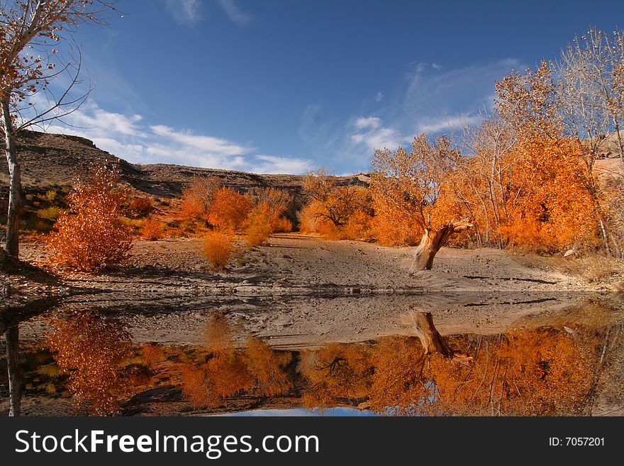 Fall reflections in the deset with blue sky. Fall reflections in the deset with blue sky
