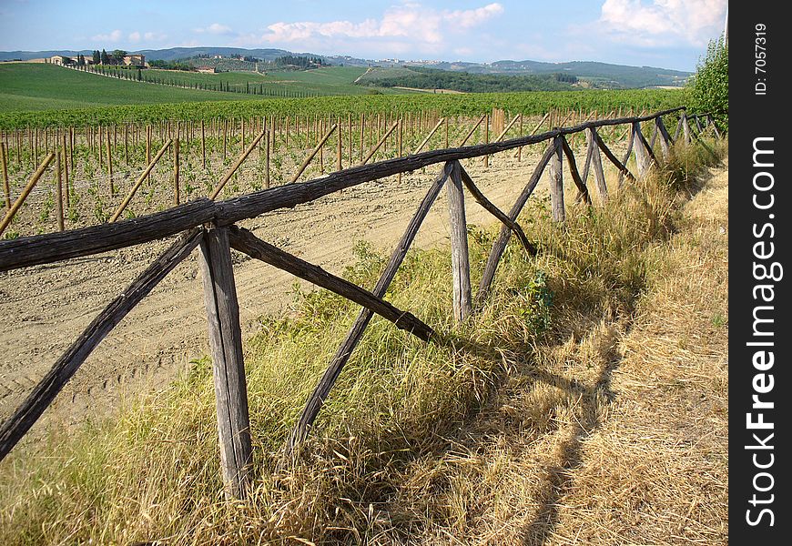 Classic countryside Italian landscape with fence and vineyards. Classic countryside Italian landscape with fence and vineyards