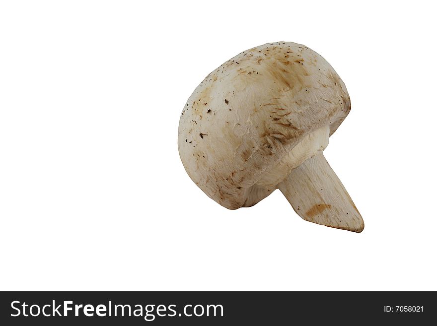 A Isolated mushroom on white background