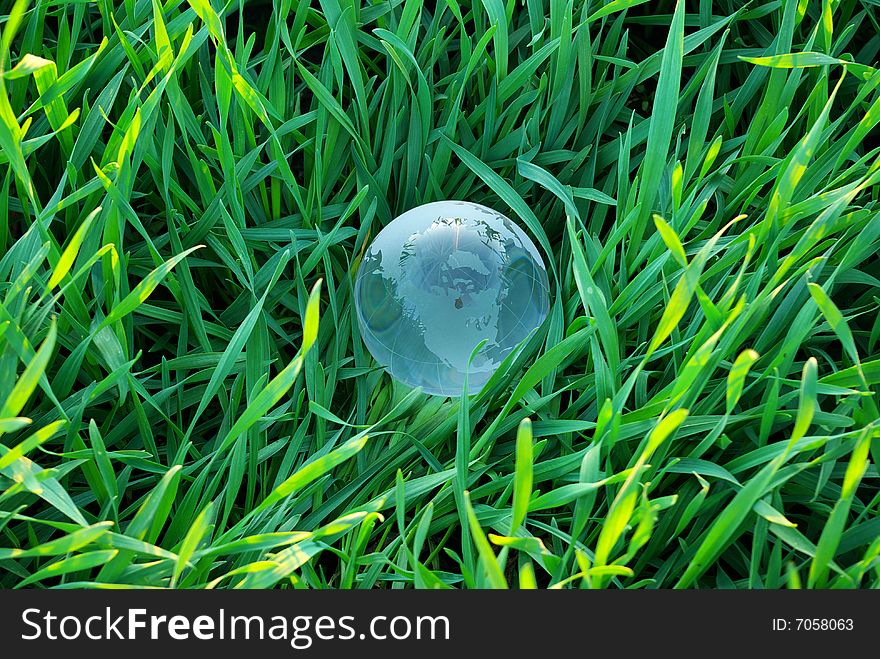 Earth globe in the grass