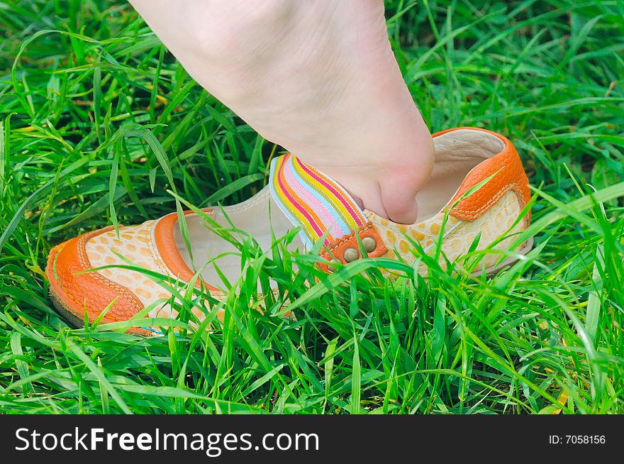 Elegant summer shoes on grass