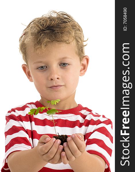 Young boy holding plant, shallow depth of field focus on boy