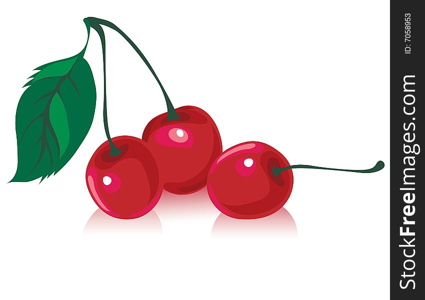 Illustration of delicious cherries with leaf. Illustration of delicious cherries with leaf